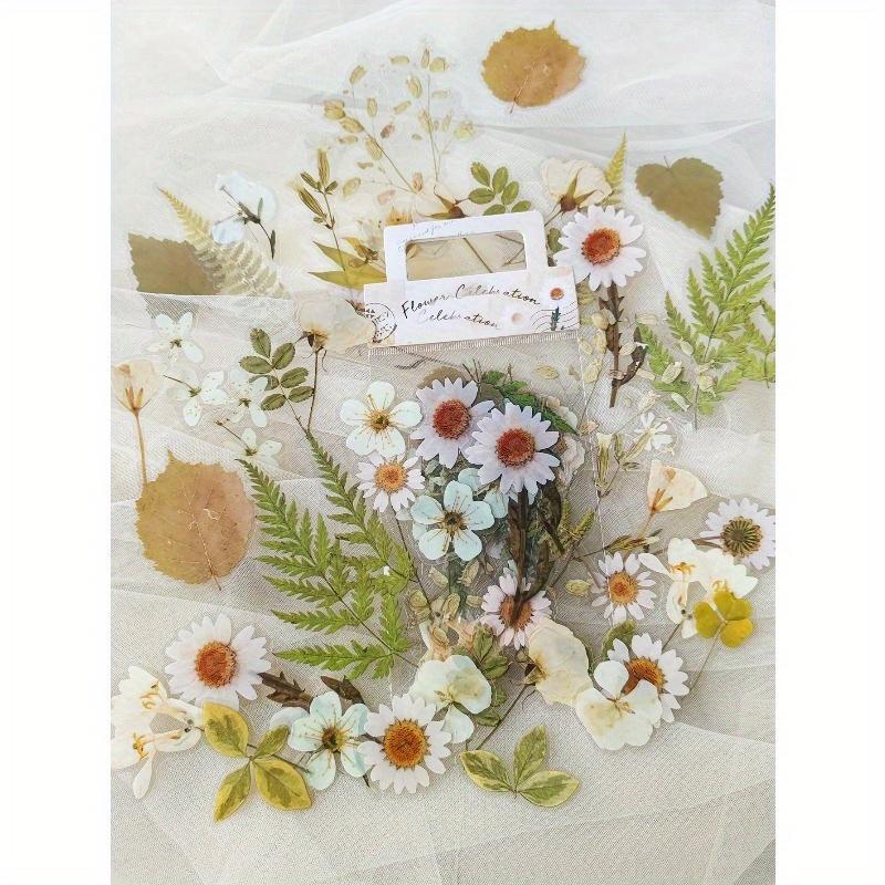 

1 Набор из 40 шт. наклеек в ретро-стиле с изображениями питомцев, цветов и растений для скрапбукинга, ведения дневника и поделок своими руками. Снова в школу one-size разноцветный