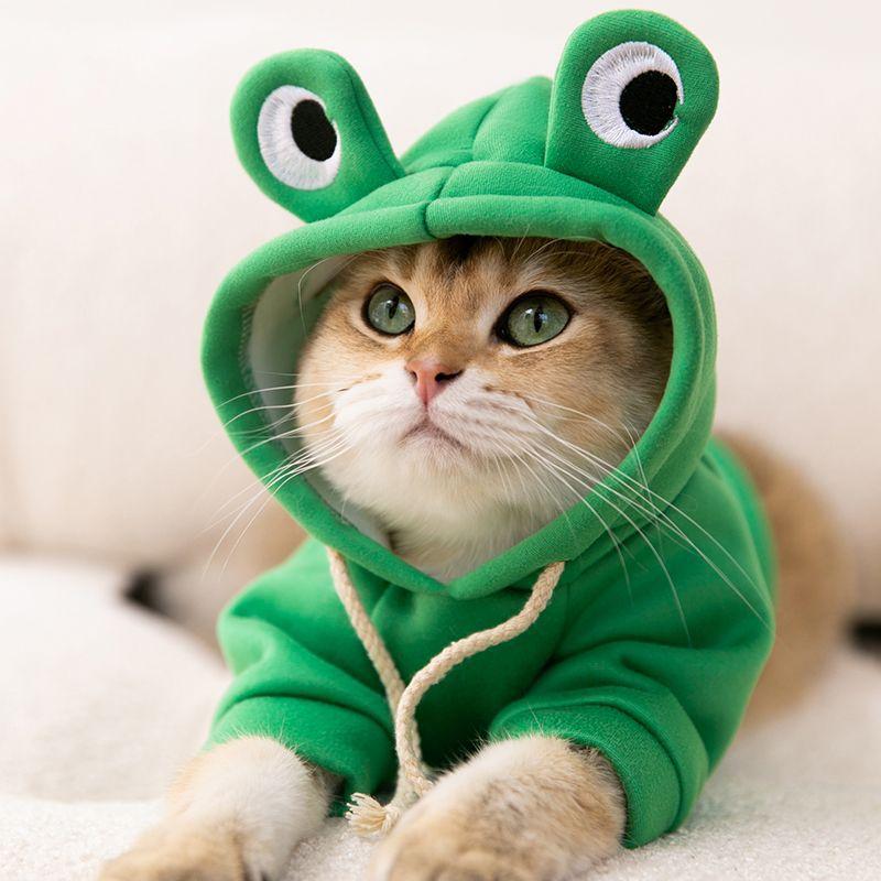 Abbigliamento per animali domestici Vestiti per cuccioli Teddy/gatto Pomerania Piccolo cane Autunno e inverno Abbigliamento autunnale Abbigliamento per animali a quattro zampe