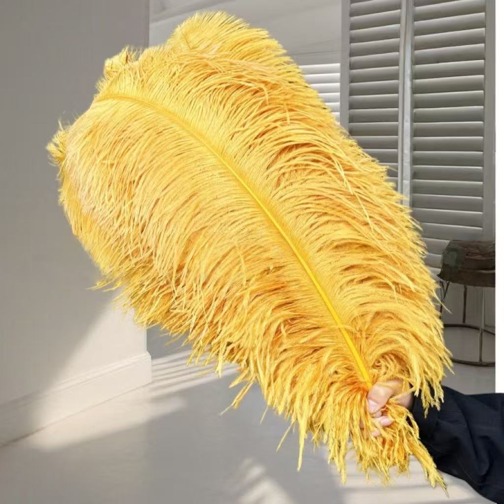 1pcs Ostrich Hair 65-70Cm Photo Feather Wall Wedding Road Guide Decorative Props Colored Feathers