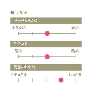 Kumano Brush (Makeup Brush) Chikuhodo Regular Series Powder Brush, Sokoho R-P2 Black Line Makeup Brush