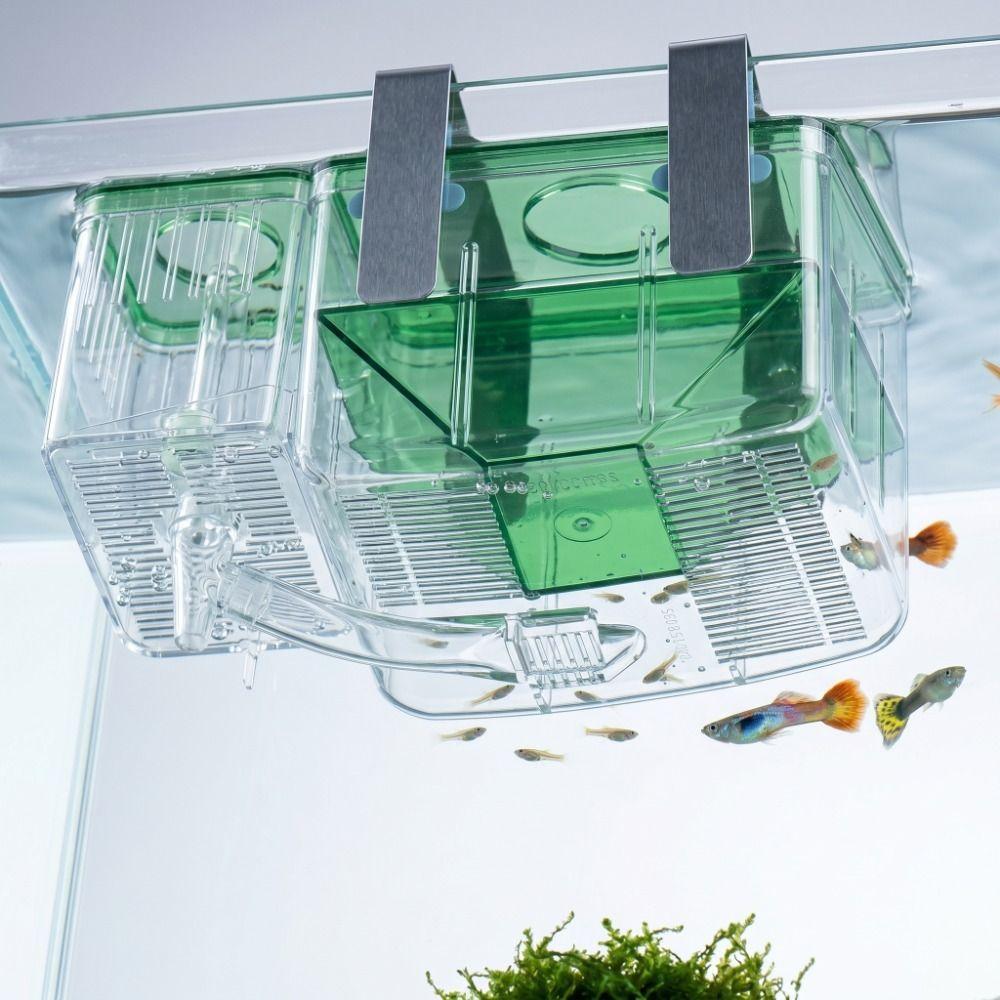 Transparent Fish Tank Hatchery Slotted Design Breeding Isolation Box  Isolation