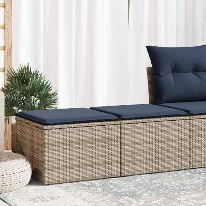 VidaXL Garden Lounge Set 2 Pcs with Gray Cushions Wicker Acacia, Outdoor Sofa Set, Garden Furniture 3328664