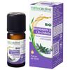 Naturactive Huile Essentielle Romarin a Cinéole Bio 10 Ml