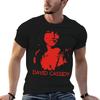 DAVID CASSIDY T-Shirt T Shirt Man Plain Cotton T Shirts Man 100% Cotton Tshirt 100% T-shirt