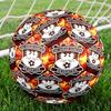 Go Ahead Eagles Print Size 5 Soccer Ball, Standard Match Football for Sports Game and Team Practice, Ideal Gift for Soccer Fans