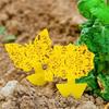 Double-Sided Yellow Sticky Insect Boards, Garden Fly and Mosquito Traps, Reusable Insect Catcher Sheets for Flower Pots and Plants