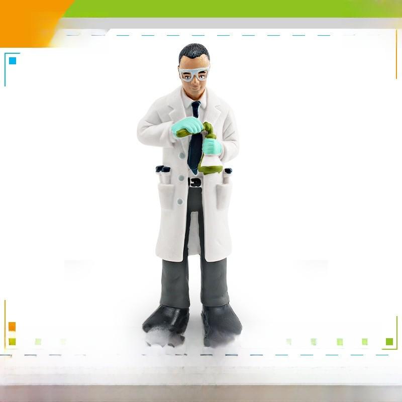 Pvc Professional Role Model Set For Educational And Display Use