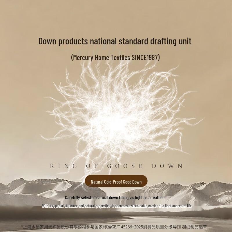 Mercury Home Textiles White Duck Down Quilt