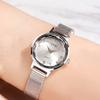 Small Student Watch, Simple Literary Waterproof Stainless Steel Mesh Belt Watch, Women'S Versatile Quartz Watch
