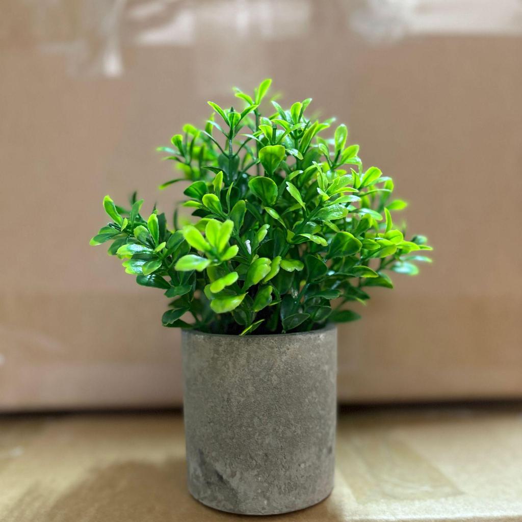 Small Potted Eucalyptus Artificial Plant for Shelf, Desk, or Table Decoration