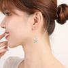 Lindon Copper Alloy Zircon Earrings Drop Earrings For Women Wedding Party Gifts