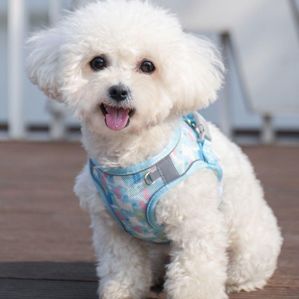 Breathable Pet Vest Style Harness Adjustable Pet Chest Strap Dog Harness Leash Set  Chihuahua