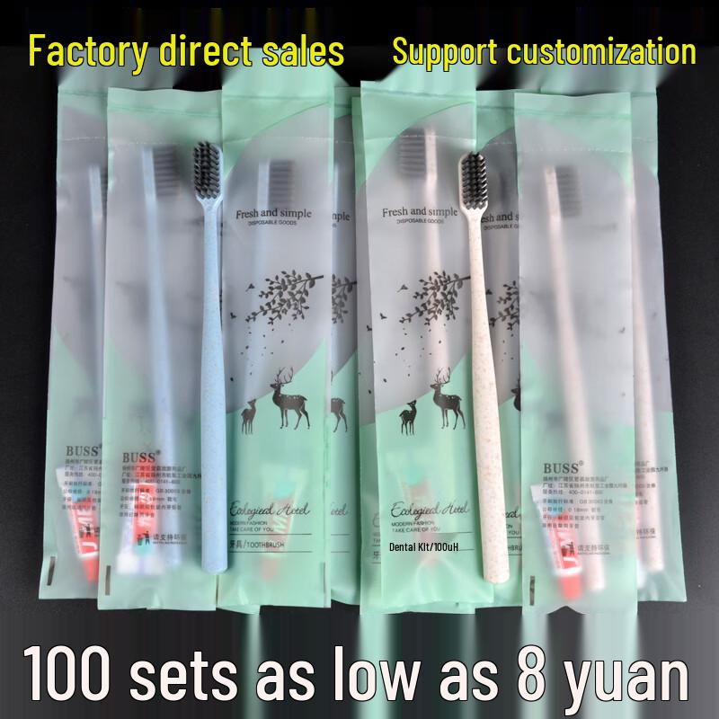 Disposable Toothbrush with Toothpaste Set