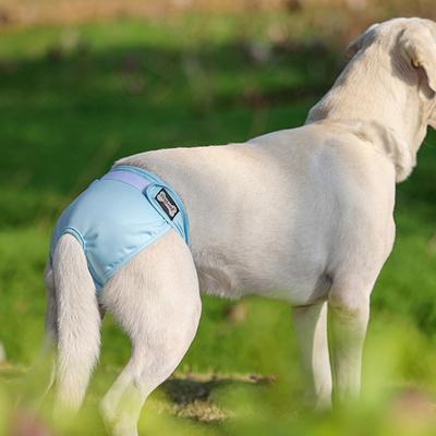 Adjustable Pet Diaper Pants Breathable Anti-Fade Pet Puppy Physiological Pants for Daily Life