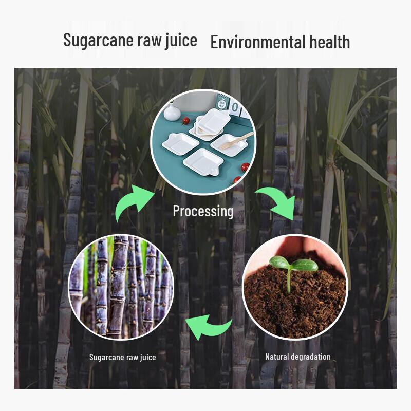 Wutian Sugarcane Pulp Disposable Plates