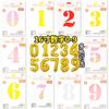 16 Inch Digital Balloon Hardcover Independent Packaging Paper Card Pack Aluminum Film Balloon Birthday Party Decoration Aluminum Foil