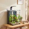 36L Tempered Glass Home Aquarium with Integrated Filter and LED Light, 30x30x45.5 cm, Black