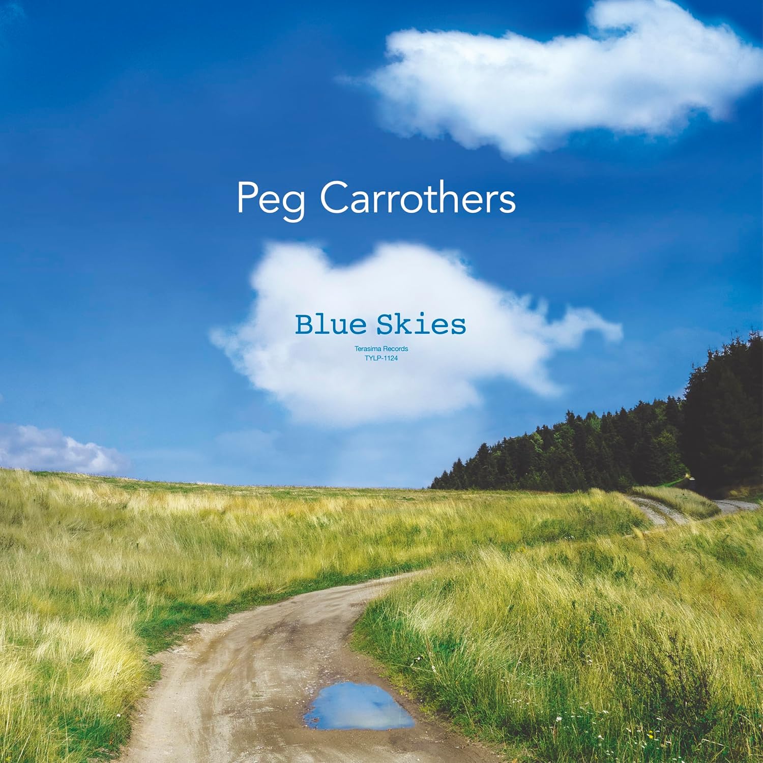 

LP Record PEG CARROTHERS Blue Skies TYLP1124 2024 Japan Jazz
