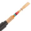 Adorainbow Oboe Reed, Finished Reed, Natural Cane, Copper, Beginner, 1 Reed