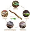 Branches for Reptiles Unique Reptile Wood Branches Climbing Accessories Natural Snake Tank Decor Reptile Climbing Corner Stick