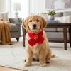 Festive Warm Cat Knitted Scarf Cute Blessing New Year Dog Scarf Red Color Pet Dress Up Costume Holiday Events