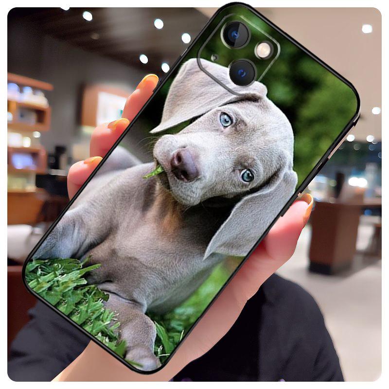 Weimaraner Dog Case For iPhone 16 14 15 Pro Max 12 13 Mini 11 15 Pro Max Plus X XS Max XR Phone Cover