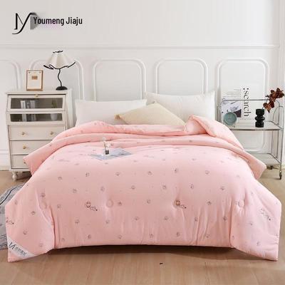 Youmengjiaju 7A Antibacterial Polyester Fiber Quilt