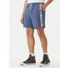 Шорты Quiksilver Schank