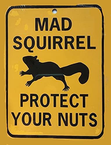 

Eeypy Warning Sign Mad Squirrel Protect Your Nuts Funny Aluminum Sign Tin Signs for Man Cave 20x30cm（7.8x11.8inch）