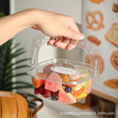 100 Pcs Fruit Cutting Box for Dessert Cake Camping Picnic Outdoor Transparent Carry Case