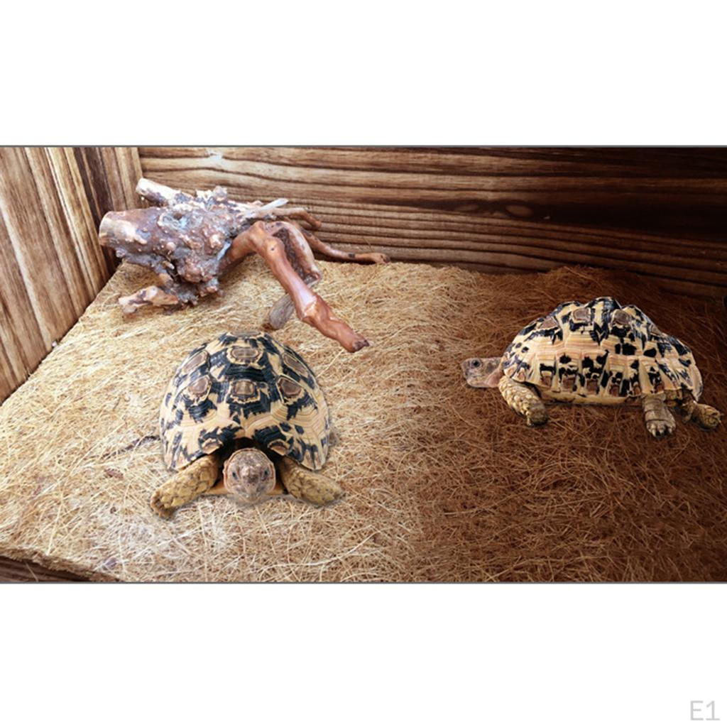 Reptilienteppich, Schildkrötenmatte aus natürlicher Kokosfaser