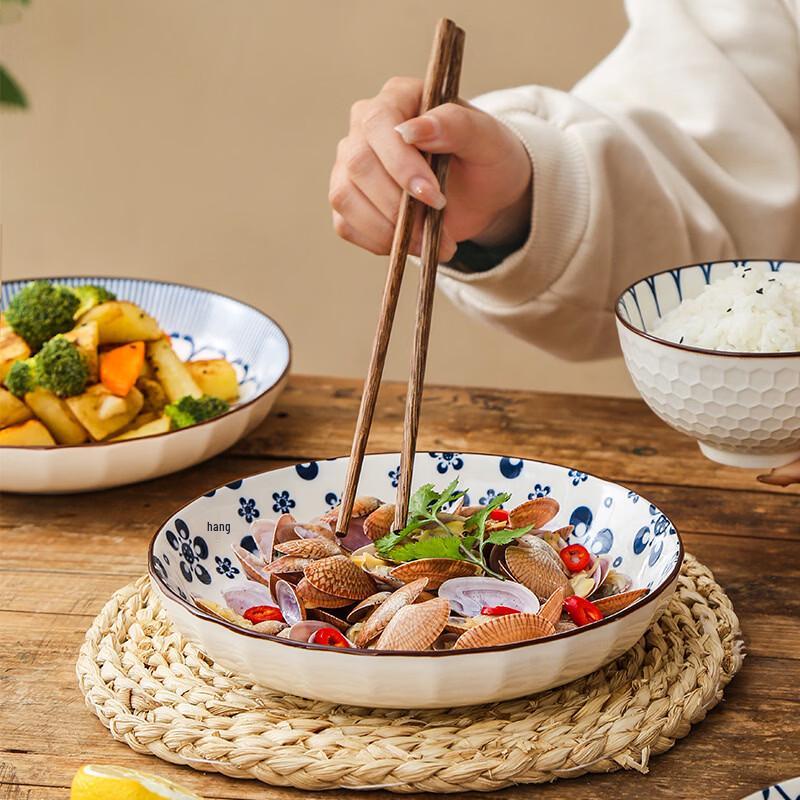 Zhishi Japanese Style Ceramic Deep Dinner Plates