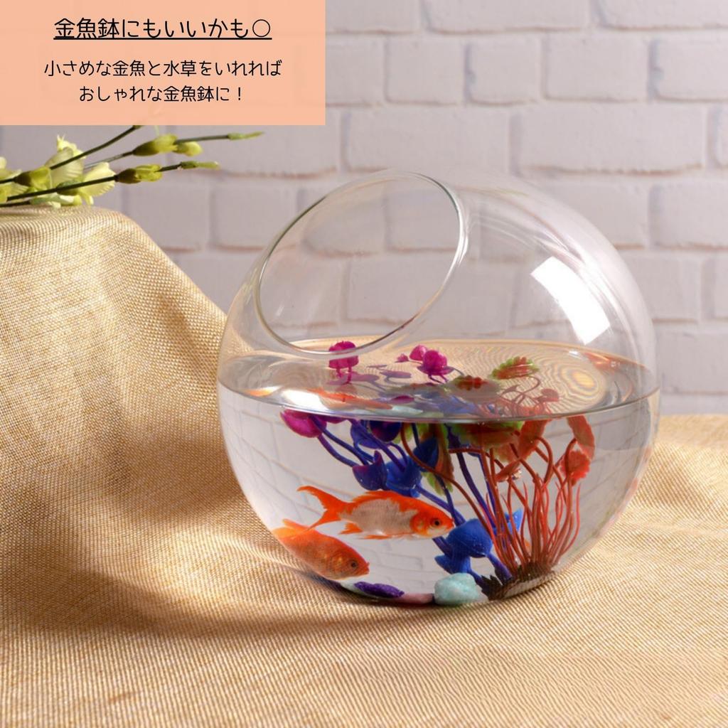 [S.T.S.G] Glass Terrarium Planter Hydroponics Pot, Round, Stylish Interior Display, Cute Plants (Set of 3, Extra Small, Small, and Medium)