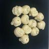 5Pcs Shell Powder Maitreya Buddha Head Beads 18x20mm Ivory Laughing Buddha Charms for DIY Bracelet Religious Lucky Jewelry Making