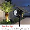 Outdoor Solar Landscape Spotlight