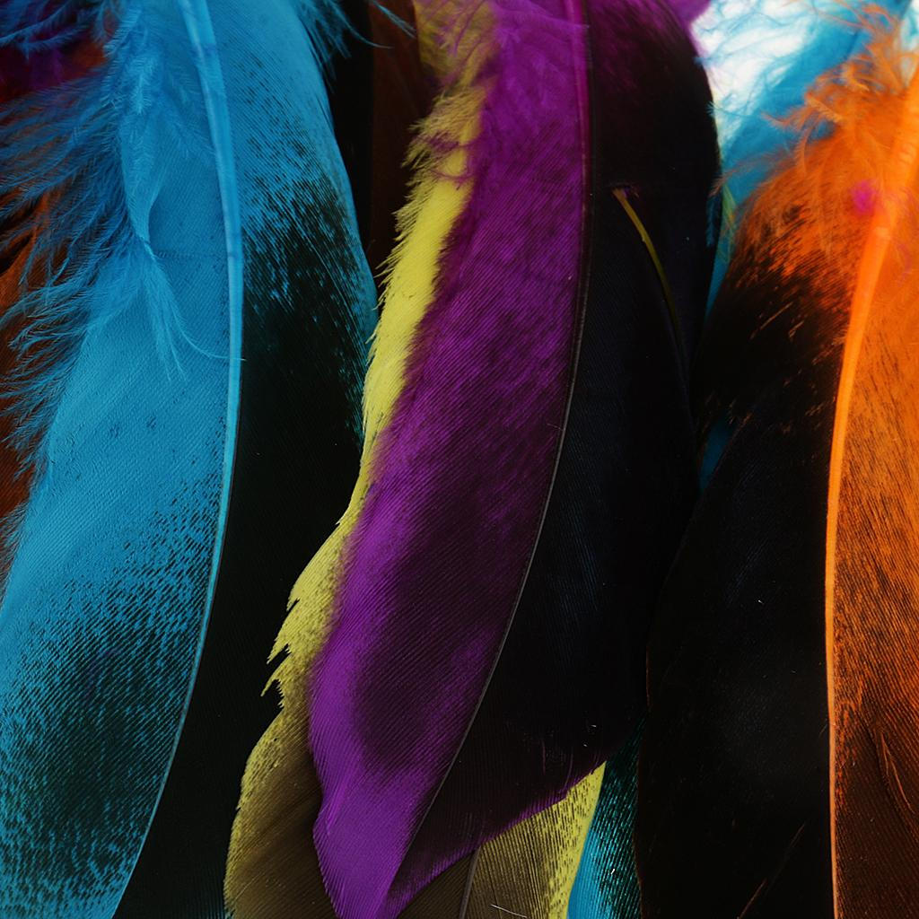 50 Piece 135mm Colorful Wild Duck Feather for Clothing Costume Decoration