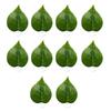 Artificial Leaves Decorative Plant with Suction Cup Colorful Leaf Decors for Fish Tanks Ornaments Plant for Terrarium