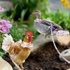 1/2Pcs Cute Cartoon Fashion Chicken Duck Vest Diaper Hen Belt Pet Traction Rope Set Comfortable Leads Pet Poultry Supplies
