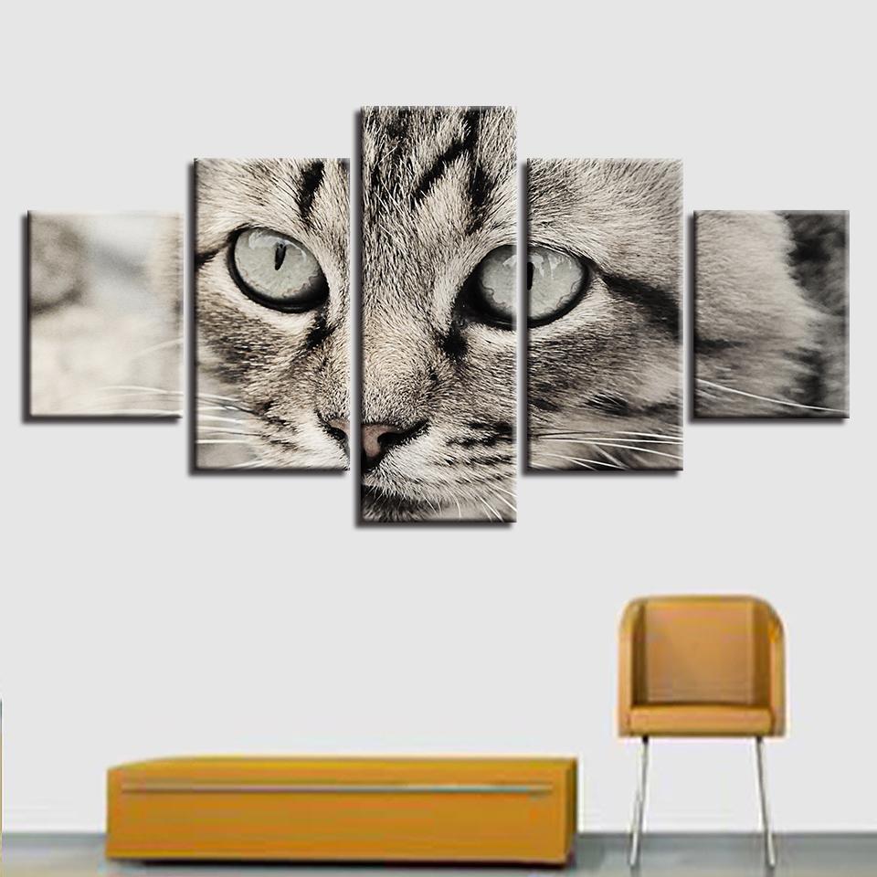 Cat's Big Eyes 5pcs Modern Home Wall Decor CanvasPicture Art HD Print Painting On Canvas for Living Room No Framed