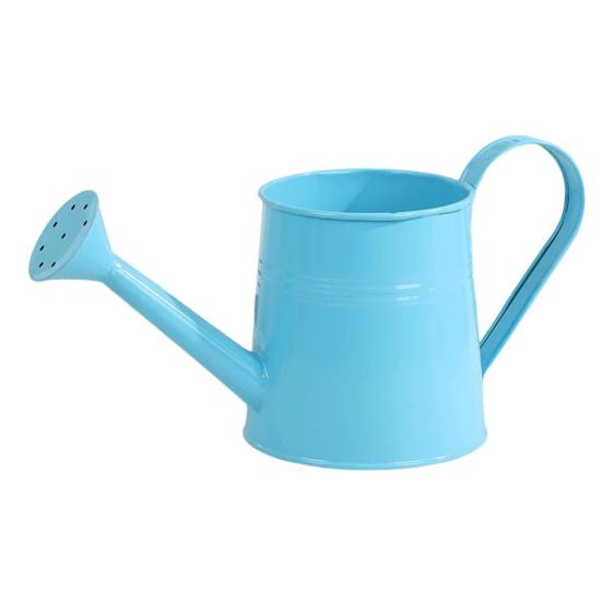 Metallvannkanne for Innendørsplanter Vannkanne med Bred Åpning Rustikk Blomsterarrangementsvase med Håndtak for Balkong Kontor Stue