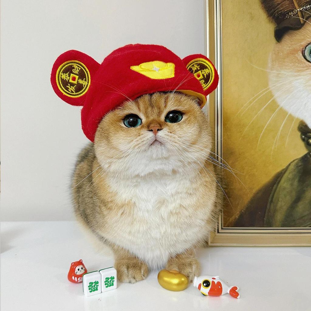 Pet Headgear, Starfish, Snapper Fish Hats, Piggy, Chick, Cat, Bear, Panda Headwear, Funny Costumes