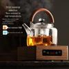Large Capacity Heat-Resistant Glass Teapot