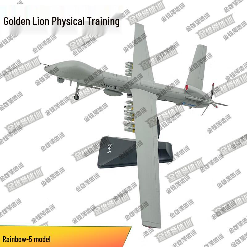 Golden Lion Rainbow-5 Model