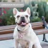 Double Side Dog Cat ID Tag Glitter Dogs Cats Name Pendant Tags Pet Collar Accessories Anti-lost Bone Tags for Small Dog Cat