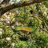 Retro Hanging Bird Feeder Heart Shape Bird Water Drinker Bird Food Container  Various Pet Birds