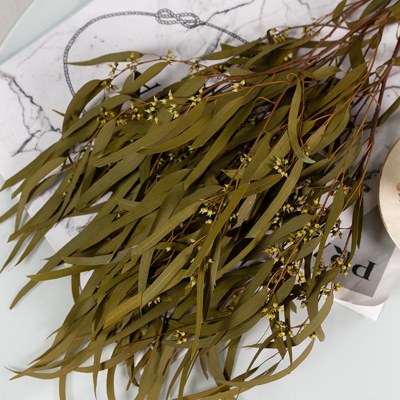 Eternal Apple Eucalyptus Millet Fruit Leaves Beauty Leaves Eucalyptus Leaves Air Dried Flowers And Leaves Multicolor Eucalyptus Leaves Home Decoration