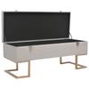 VidaXL Banc avec compartiment de rangement 105 cm Gris Velours