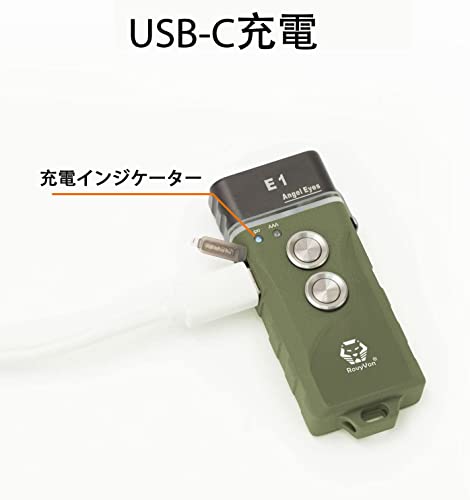 RovyVon E1 Hybrid Battery Ultra-Compact Flashlight, Dual LED 6500K Cool White Up to 700 Lumens, Pocket-Sized USB-C Rechargeable Keychain Flashlight wi