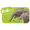 Takara Tomy Ania Elephant Animal Dinosaur Toy for Ages 3 and Up AC-02 (Children's)
