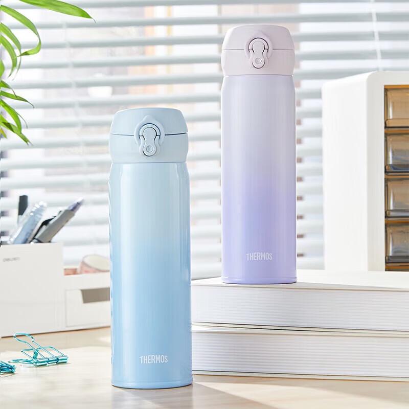 

Thermos 316 Stainless Steel Vacuum Bottle 500ml